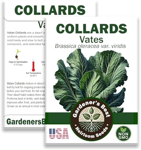 Vates Collard Greens Seeds for Planting (1 Pack | 400+ Seeds per Pack) - Organic, Non-GMO, Heirloom, Frost Hardy, Compact, Slow-Bolting, USA Grown, with Instructions to Plant a Home Vegetable Garden by WeGrowGoodFood