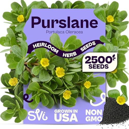 SVI 2500 Purslane Seeds (Portulaca oleracea) – Common Purslane, Verdolaga Seed Packets Bulk, Pigweed, Succulent Grow – Heat & Drought Tolerant Heirloom Herb Seeds, Indoor Herb Garden & Outdoor Garden by SVI