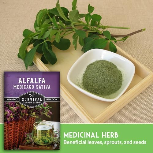 Alfalfa Seeds for Planting - Survival Garden Seeds (2 Pack) - Image 3
