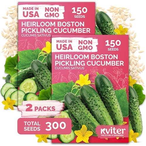 300 Boston Pickling Cucumber Heirloom Vegetable Seeds, Cucumis Sativus by KVITER