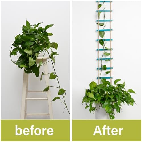 Blue Plant Ladder Indoor Plants Hanging Wooden Trellis for Vine - Image 3