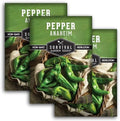 Anaheim Chili Pepper Seeds for Planting - 3 Packs by SurvivalGardenSeeds