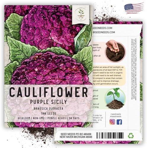Seed Needs Purple Sicily Cauliflower Seeds to Plant Heirloom 1 Pack - Image 6