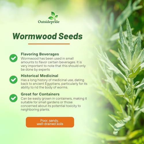 Outsidepride Wormwood Seeds - 10000 Pcs. Perennial, Easy to Grow & Drought Tolerant, Herb Seeds for Planting Aromatic, Delicate Gray-Green Foliage, Great for Landscaping & Xeriscaping Herb Gardens - Image 3