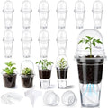 15 Pack 3.5" Self Watering Propagation Pots Clear, Plain Cup by Ferrochef