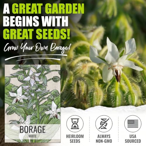 Seed Needs White Borage Seeds to Plant an Herb Garden - 2 Packs - Image 2