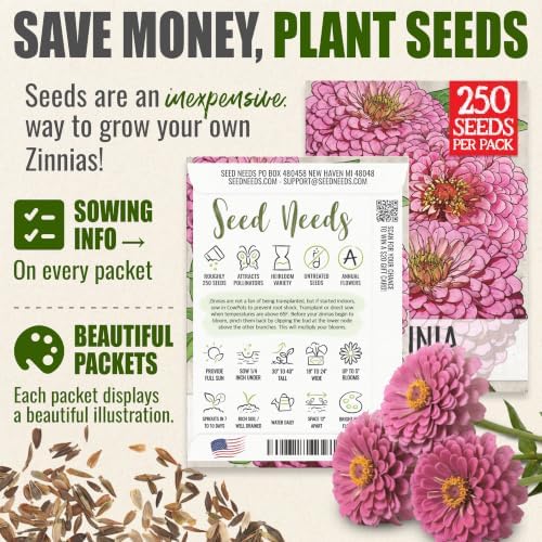 Seed Needs Luminosa Zinnia Seeds to Plant Cut Flowers - 20 Packs - Image 3