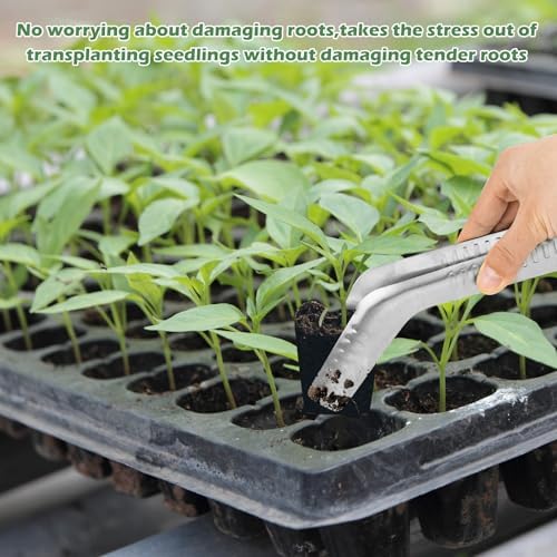 1 PCS Seedling Transplant Tongs, Stainless Steel Seed Planter Tool - Image 3