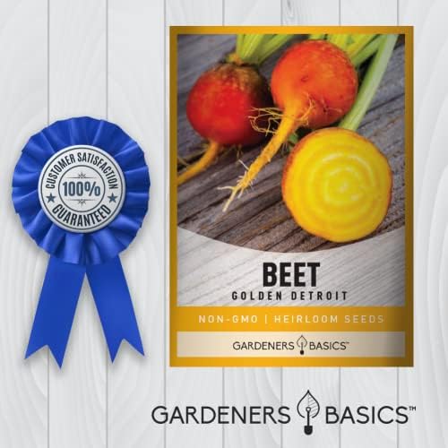 Gardeners Basics Golden Detroit Beet Seeds for Planting, Heirloom, 2 Grams - Image 7