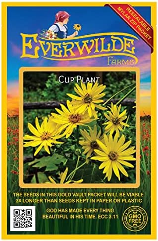 75 Cup Plant Native Wildflower Seeds - Gold Vault Jumbo Seed Packet by Everwilde+Farms