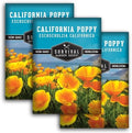 Survival Garden Seeds California Poppy Seeds for Planting, 3 Packs by SurvivalGardenSeeds