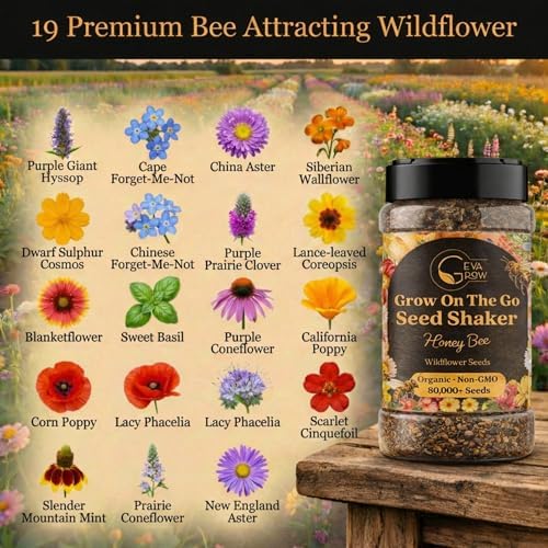 Mini Wildflower Seed Shaker – Honey Bee Wildflower Mix, by GevaGrow | Bulk 90,000+ Seeds | Pollinator Bee Attracting Flower Seeds for Planting in Pots & Outdoor Gardens | No Messy Packets - Image 2