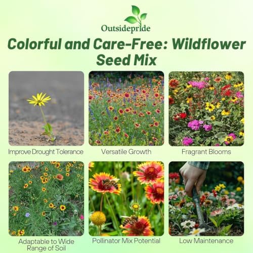 Outsidepride Southeast Wildflower Seed Mix - 1 lb Highly Adaptable, Easy to Grow, Low-Maintenance Mix of Annual & Perennial Wildflower Seeds for Natural Landscapes in Southeastern States - Image 3