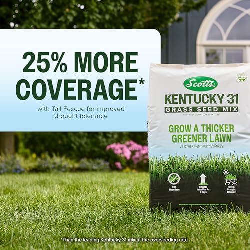 Scotts Kentucky 31 Grass Seed Mix, 40 lbs. - Image 3