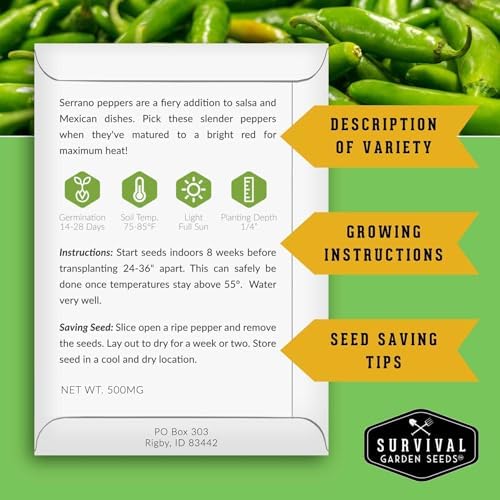 Mexican Serrano Pepper Seeds for Planting - 5 Packs - Image 2