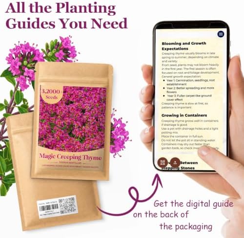 32,000+ Magic Creeping Thyme Seeds for Planting,Thymus Serpyllum - Image 5