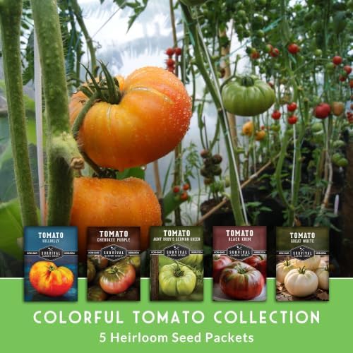 Colorful Heirloom Tomato Seeds 5 Variety Pack - Survival Garden Seeds - Image 5