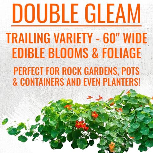 Seed Needs Nasturtium Garden Seeds Variety Pack of 2 Edible Wildflowers - Image 7