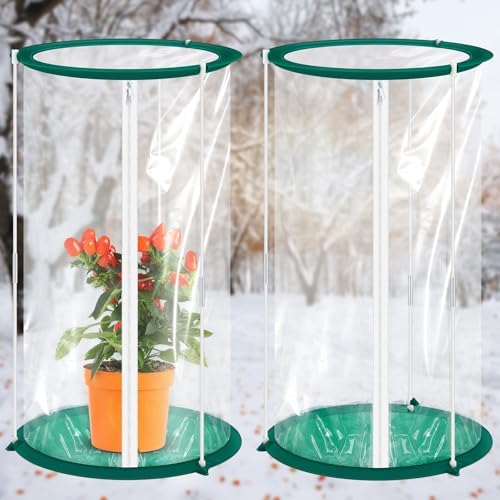 Nuanchu 2 Pieces Mini Greenhouse 19.7 x 10.2 Inch Portable Plant Flowers Mini Cover PVC Clear Greenhouse for Indoor Outdoor Gardening by Nuanchu