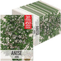 Seed Needs Anise Seeds to Plant an Herb Garden - 20 Packs by SeedNeeds