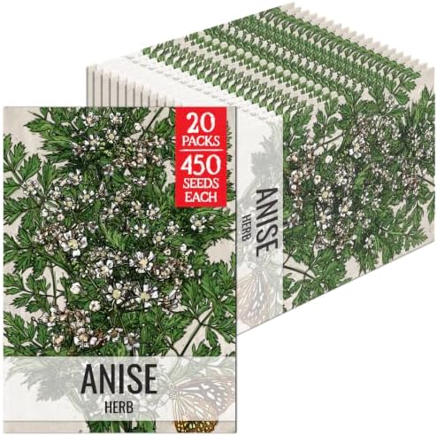 Seed Needs Anise Seeds to Plant an Herb Garden - 20 Packs by SeedNeeds