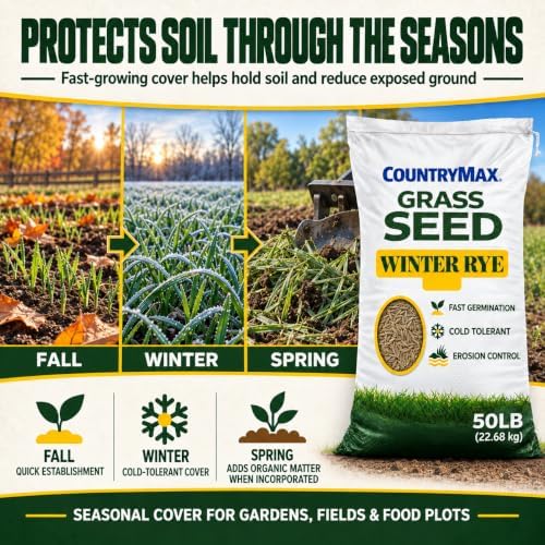 50LB Winter Rye Seed, Fast Growing Cover Crop - Image 5