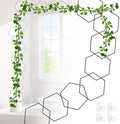 20pcs Chain Trellis for Climbing Plants Indoor, Metal Hexagonal Wall Plant Support Accessories for Vine Growth, Ivy, Pothos Live Plant Climber by yinjupu