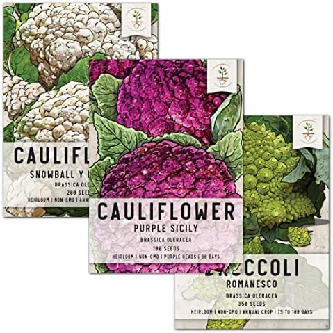 Seed Needs Cauliflower Seeds Variety Pack of 3 Non-GMO Heirloom Vegetables by SeedNeeds