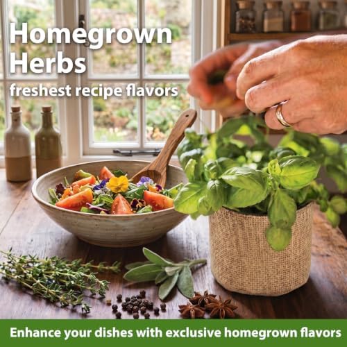 LUOJIBIE Herb Garden Kit Indoor, Herb Growing Kit with Seeds & Tools, Birthday Gifts for Women Men Mom Dad Girls Boys Kids, House Warming Gifts New Home, Kitchen Décor - Image 5