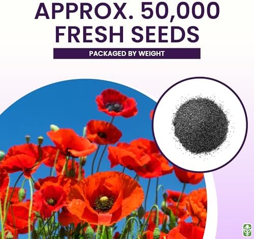 Red Flanders Poppy Seeds for Planting - 50,000+ Fresh Flower Seeds - Grown in the USA - Spring Blooming Wildflower - Image 3