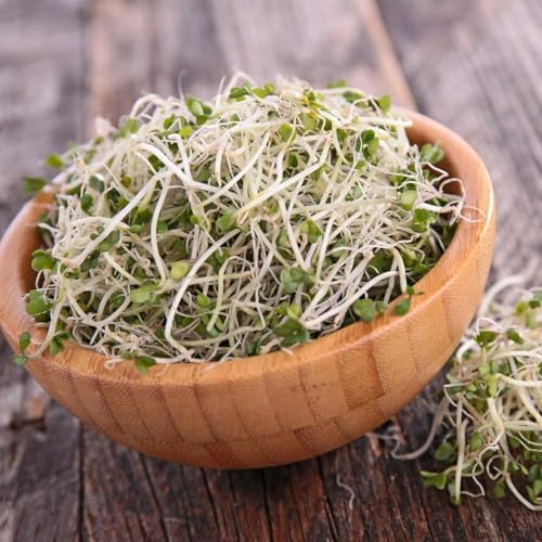 Handy Pantry Organic Sprouting Seed Assortments - Microgreens, Sprout Seeds - Image 5