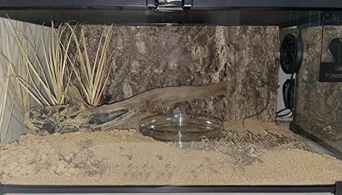Fake Desert Dry Grass Reptile Plants Bearded Dragon Terrarium Décor - Image 5
