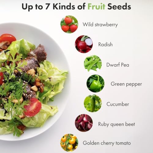 LYKOCLEAN Strawberry Seed Pods kit for AeroGarden, Ahopegarden - Includes Wild Strawberry, Radish, Dwarf Pea, Green Pepper, Ruby Queen Beet, Golden Cherry Tomato, 7 pods, 350+Seeds - Image 2