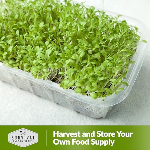 Lettuce Microgreens Seeds for Planting - 2 Packs - Image 6