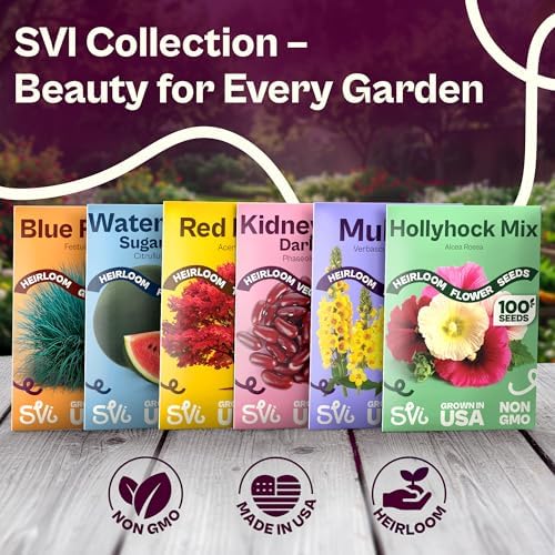 SVI 50 Green Globe Artichoke Seeds (Cynara scolymus) – Globe Artichoke Seed Packets, Artichokes Garden Seed Perennial – Heirloom Vegetable Seeds for Outdoor Garden Raised Beds, Containers - Image 7
