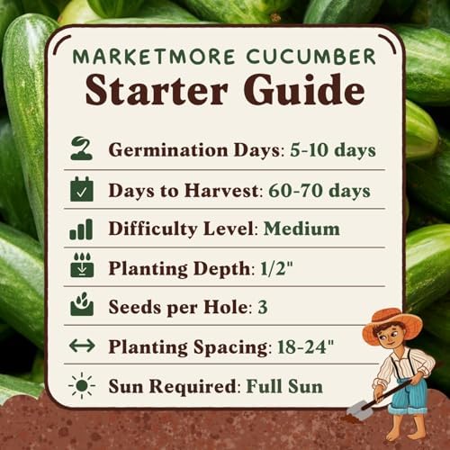 Organic Non-GMO Vegetable Seeds for Planting (Marketmore Cucumber) - Image 6
