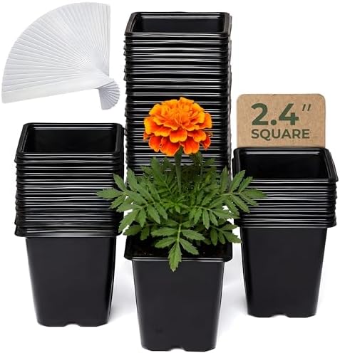 CARPATHEN Nursery Pots for Plants with Drainage Holes, 2.4 inch, 64 Pack by Carpathen-ExpertIrrigationsforNourishingGardens