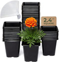 CARPATHEN Nursery Pots for Plants with Drainage Holes, 2.4 inch, 64 Pack by Carpathen-ExpertIrrigationsforNourishingGardens