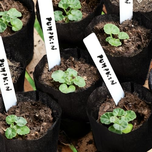 50PCS Deep Nursery Grow Bags, Black Plant Grow Bag for Starting Rooted Plants Vegetable, Flower, Seedling Tree Seedling Pots, 10" H Before Loading Soil - Image 7
