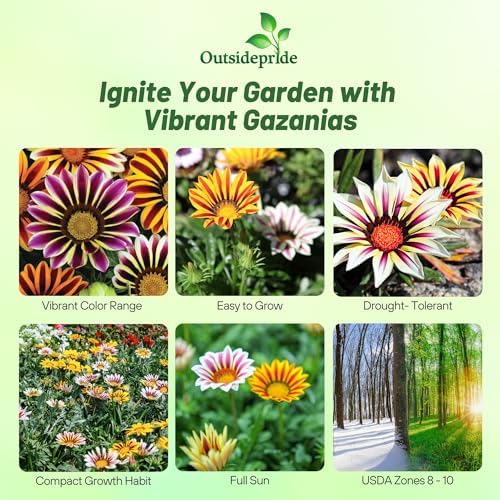 Outsidepride Kiss Flame Mix Gazania Seeds for Planting – 25 Pcs Perennial, Low-Maintenance, Drought-Tolerant Ground Cover Seeds for Vibrant Summer & Fall Flowers, Great for Outdoor Gardens - Image 2