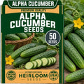Seeds for Planting, 50 Alpha Cucumber by CZGrain