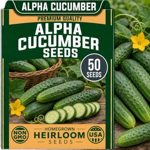 Seeds for Planting, 50 Alpha Cucumber by CZGrain