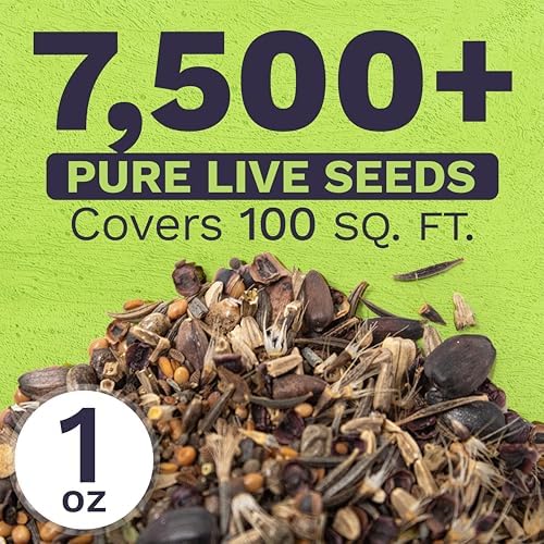 Bee Friendly Wildflower Seed Mix - Bulk 1 Ounce Packet - Over 7,500 Open Pollinated Seeds - Save The Bees! - Image 3