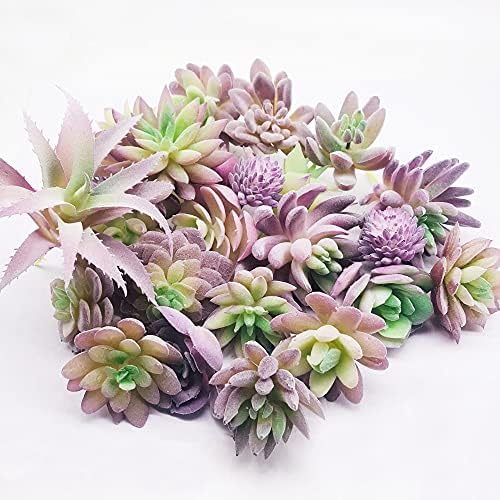 Woohome 25 PCS Artificial Succulent Plants, Purple Fake Succulent Unpotted Faux Succulent Assortment in Flocked in Different Type for Birthday Home Decor Indoor Wall Garden DIY - Image 3