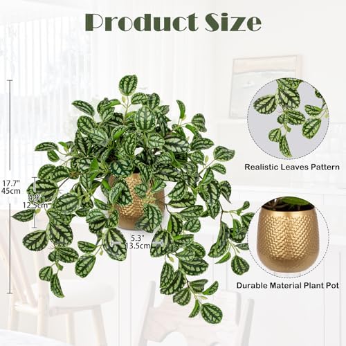 Briful Faux Plants Indoor 17.7in Fake Watermelon Peperomia Plant in Gold Pot with Realistic Silk Green Leaves Artificial Potted Plant for Home Office Table Shelf Desk Modern Room Decor - Image 2