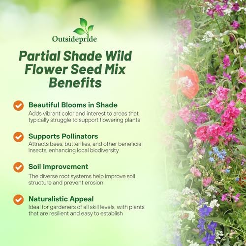 Outsidepride Partial Shade Wild Flower Seed Mix for All States - 1/4 lb. Premium Blend of Annual & Perennial Wildflowers, Perfect for Partial Shade Areas, & Outdoor Planting for Gardens & Lawns - Image 4