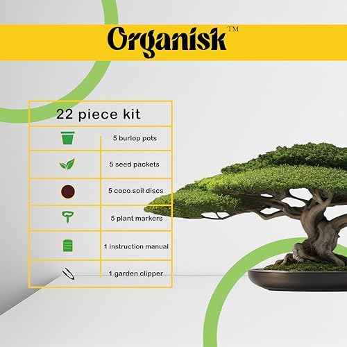 Bonsai Starter Kit - 5 Unique Tree Types, Special DIY Garden Hobby Kits - Great for Plant Lovers, for Kids, Men, Women, and Bonsai Enthusiasts - Image 3