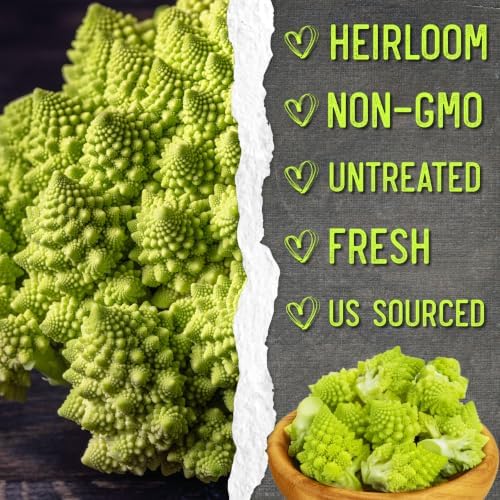 Seed Needs Romanesco Broccoli Seeds to Plant Green Cauliflower 5 Packs - Image 6