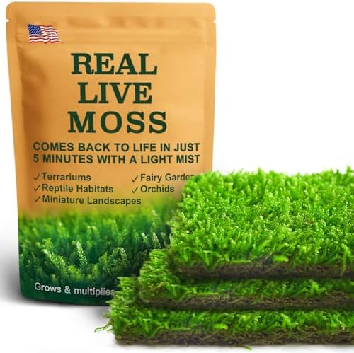 LuckyRunes Live Hypnum Moss 3-Pack 3.5x7in for Terrariums & Plant Decor by LUCKYRUNES