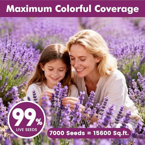 Lavender Seeds for Planting, English Lavender Seeds Indoor & Outdoor, 7000+ Heirloom Seeds, High Germination, Easy to Grow, Fragrant Flowers, Culinary & Crafts (0.7 oz) - Image 5